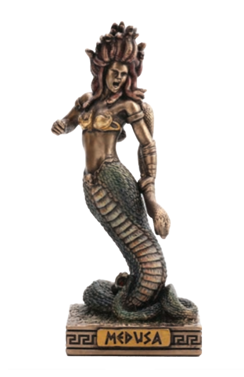 Στιγμιότυπο οθόνης 2026 03 14 140603 MEDUSA